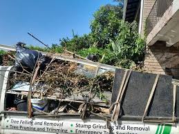 Best Residential Junk Removal  in Sheffield, IA